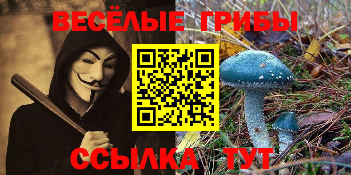 Всеволожск  Псилоцибиновые грибы мицелий  Вход с VPN 
